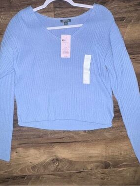 wild fable Light Blue Ribbed V-Neck Sweater